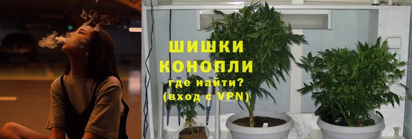 индика Надым