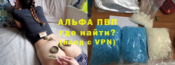 PSILOCYBIN Нея
