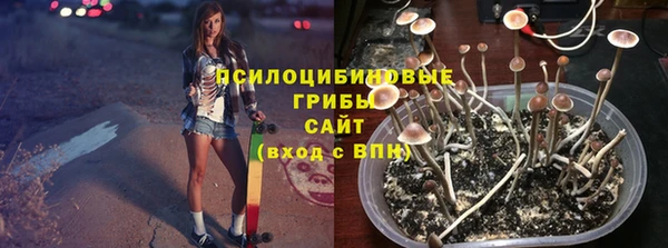 PSILOCYBIN Нея