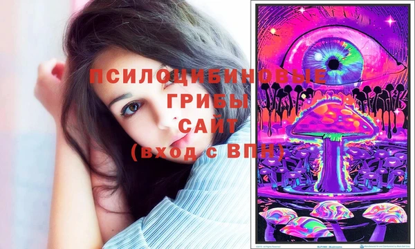 гашик Нефтекумск