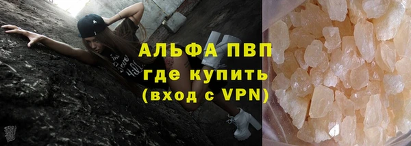 гашик Нефтекумск