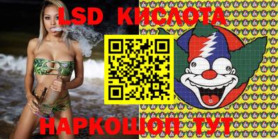 молекула духа Будённовск