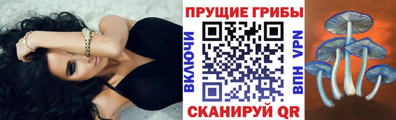это состав Новосибирск Псилоцибиновые грибы прущие грибы mega рабочий сайт