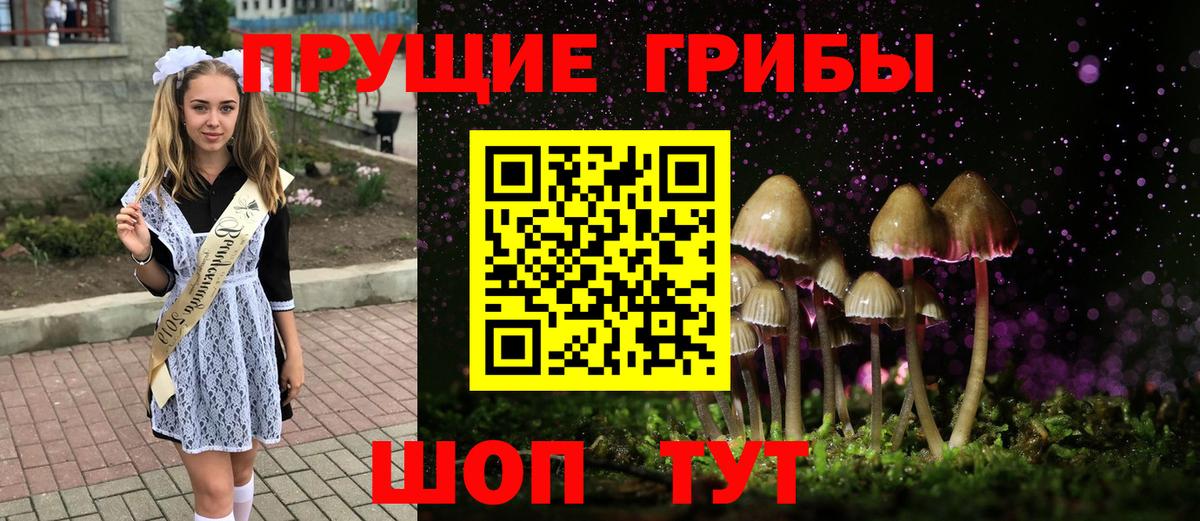 Галлюциногенные грибы мухоморы Новосибирск