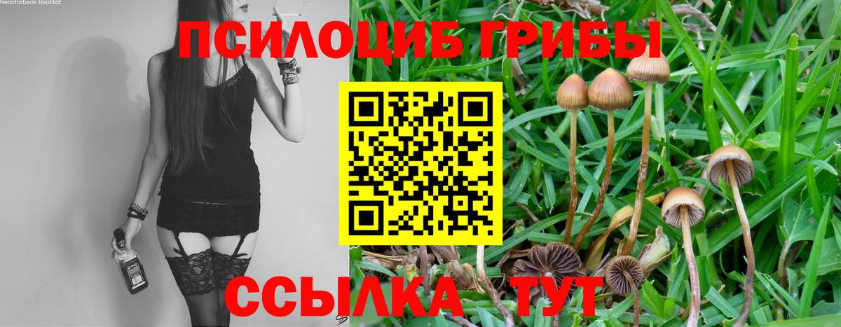 купить наркоту  Вход с VPN  Галлюциногенные грибы мухоморы  Новосибирск  Галлюциногенные грибы GOLDEN TEACHER 