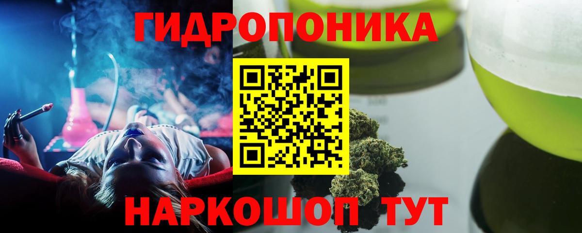 Конопля Bruce Banner  Новосибирск  Бошки марихуана семена  Марихуана White Widow  МАРИХУАНА сатива 